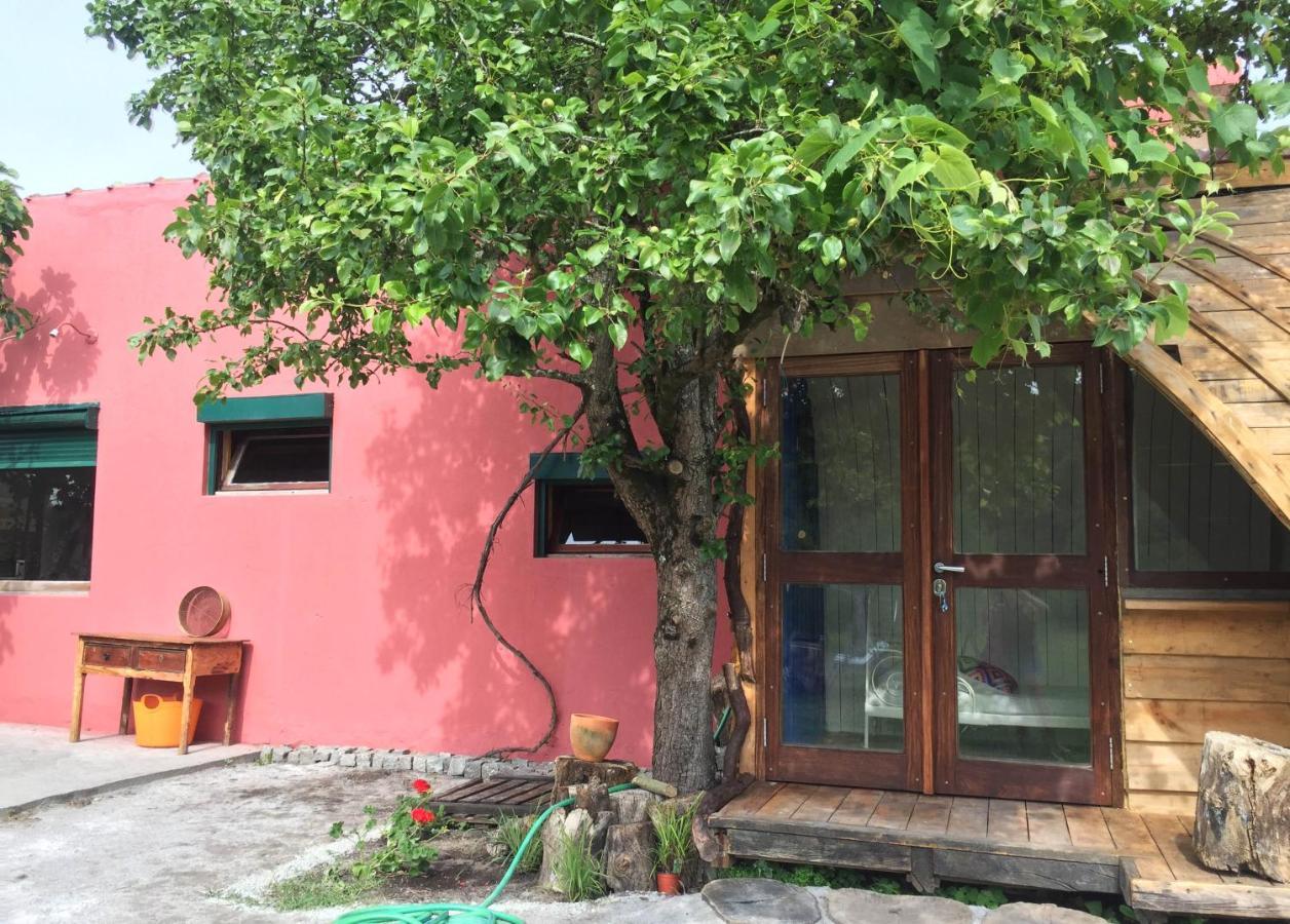Maceda Surf Camp Villa Exterior foto